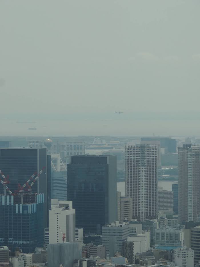 東京シティビューからの眺め