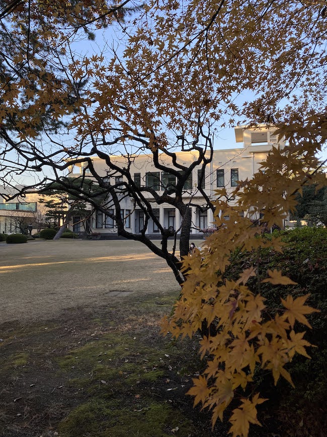 「交歓するモダン　機能と装飾のポリフォニー」東京都庭園美術館