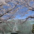 春だ！桜だ！美術館だ！桜とアートが同時に楽しめる東京美術館特集！建築とアートと桜を巡る六本木