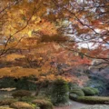 アートと紅葉が楽しめる この秋 訪れたい東京の美術館 その２＜白金台の東京都庭園美術館＞